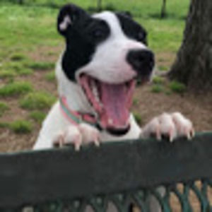 Meet your Posher, Candye